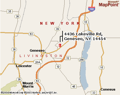 restaurants geneseo new york
